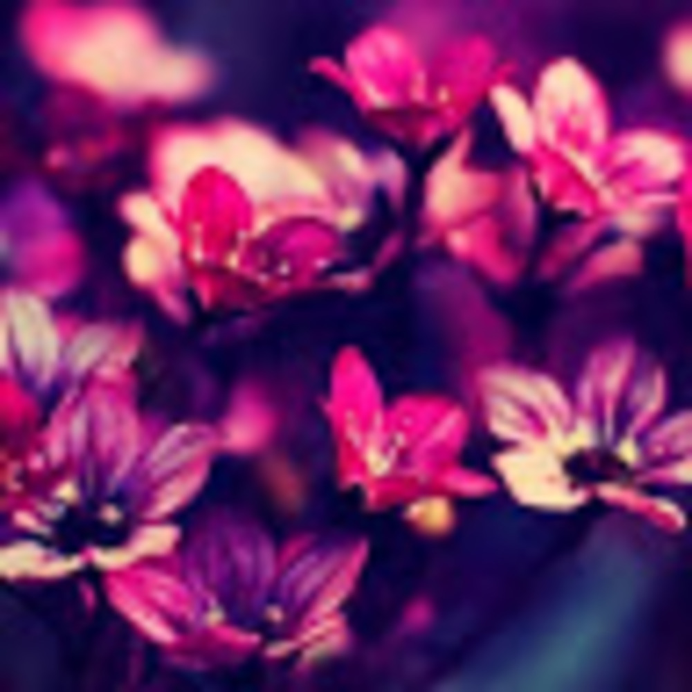 Meet your Posher, Naomi